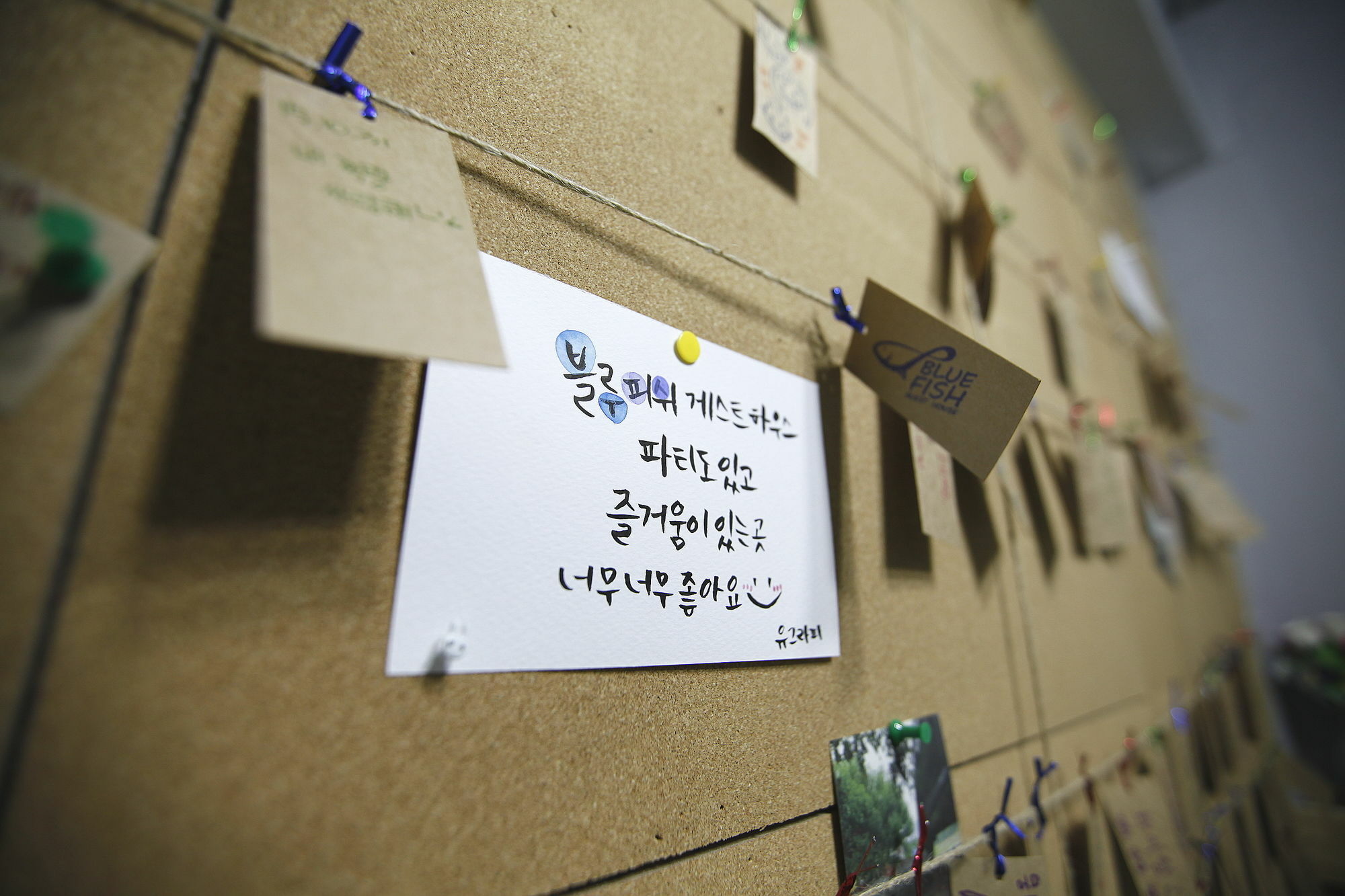 Bluefish Guesthouse Busan Luaran gambar